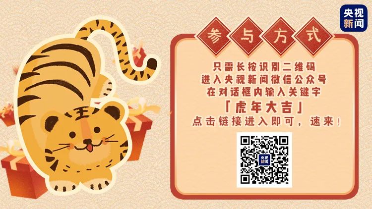白小姐三肖三期必出一期開獎虎年—揭秘彩票神話，揭秘彩票神話，白小姐三肖三期必出一期虎年開獎