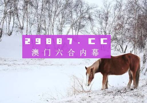 新澳門4949正版大全，澳門正版大全，揭秘新澳門4949彩票資訊