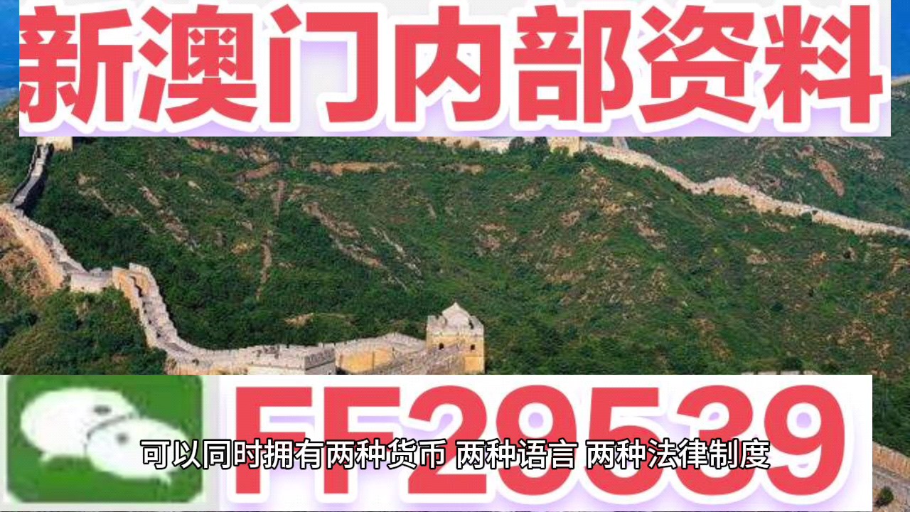 揭秘4949澳門今晚開獎結果—全面解讀彩票奧秘，澳門彩票開獎結果揭秘，全面解讀彩票奧秘與今晚開獎結果