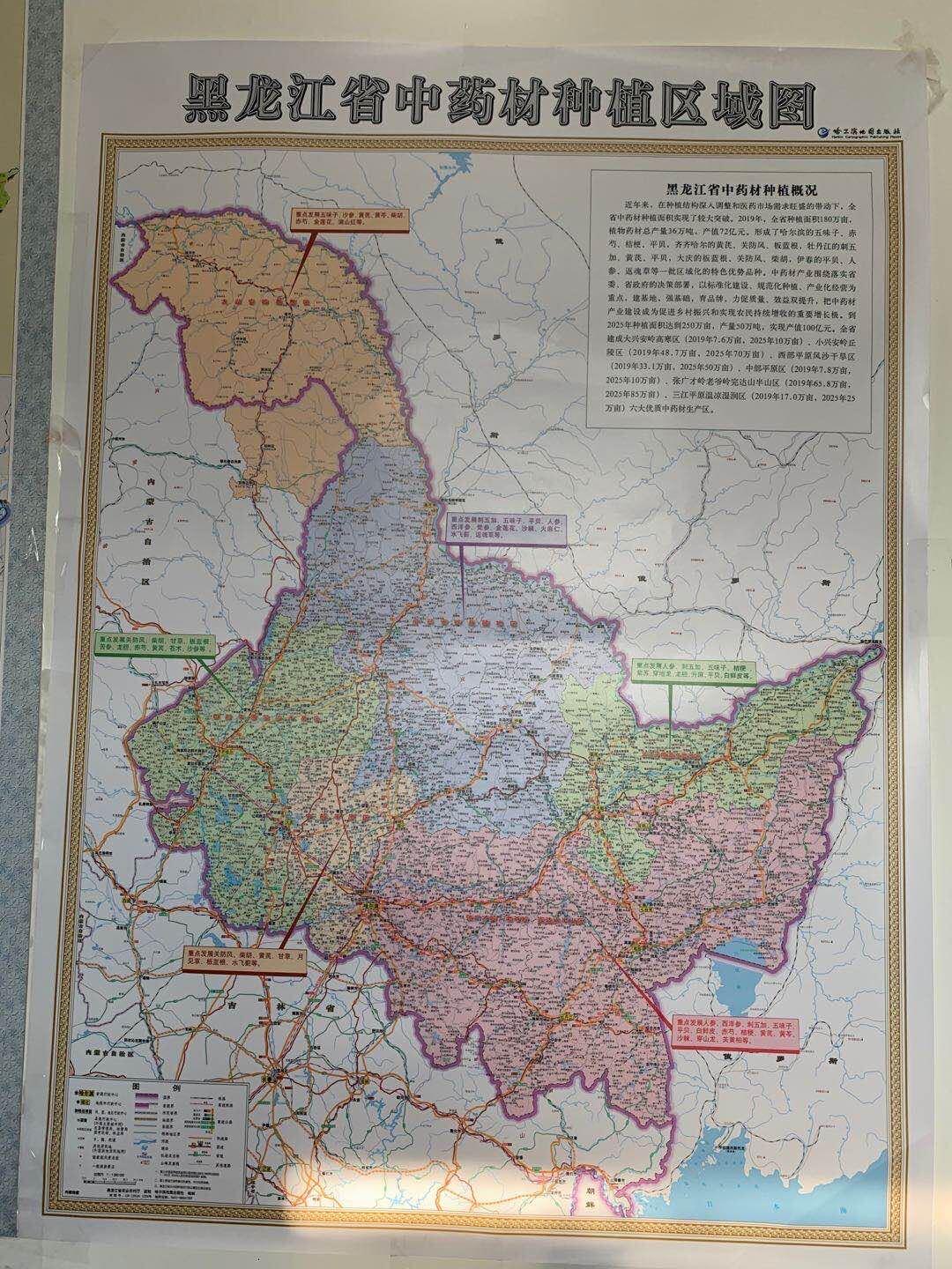2025香港精準(zhǔn)資料，香港精準(zhǔn)資料 2025年預(yù)測(cè)報(bào)告