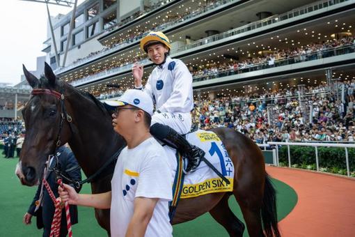 香港特馬王內(nèi)部資料免費公開，香港特馬王內(nèi)部資料揭秘，免費公開獨家情報