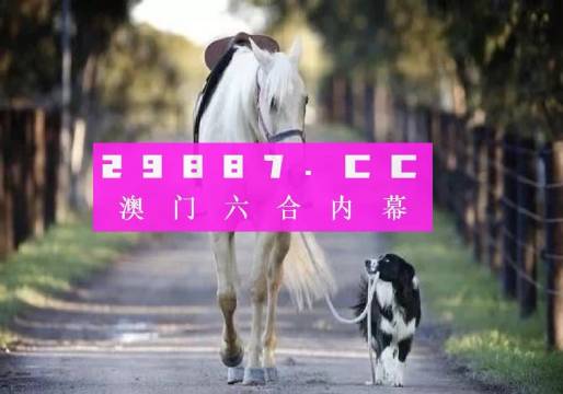 澳門49圖正版開獎，揭秘彩票背后的故事與魅力，澳門彩票背后的故事與魅力，揭秘正版開獎的49圖歷程
