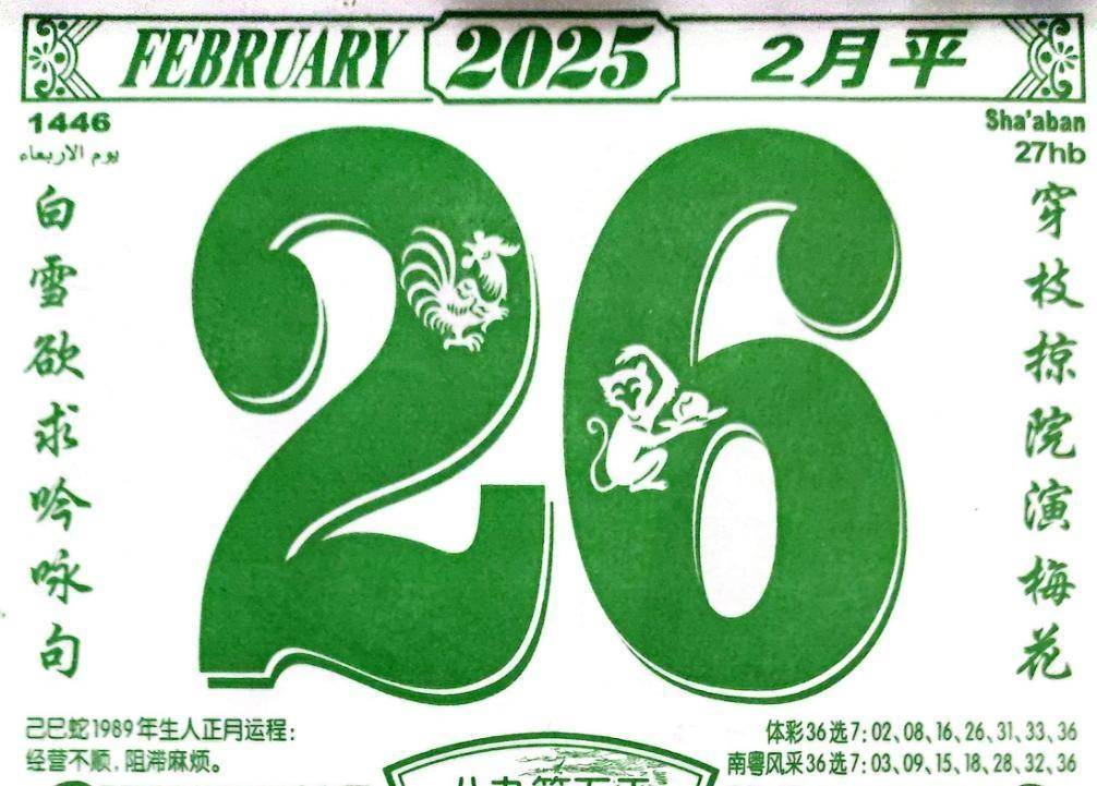 揭秘新澳天天資料大全，探索未來(lái)的奧秘—以第099期為例，揭秘新澳天天資料大全第099期，探索未來(lái)奧秘的鑰匙