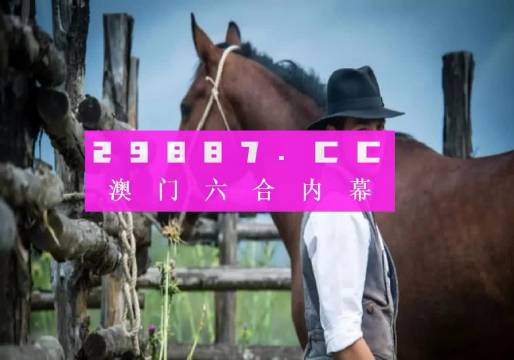 澳門六網(wǎng)站資料查詢表2023版，澳門六網(wǎng)站資料查詢表最新發(fā)布，2023版全面解析
