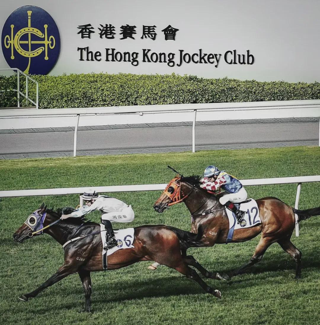WW777766香港馬會(huì)總綱詩(shī)，探索馬會(huì)文化與詩(shī)意交織的魅力，WW777766香港馬會(huì)總綱詩(shī)，馬會(huì)文化與詩(shī)意交織的魅力探索