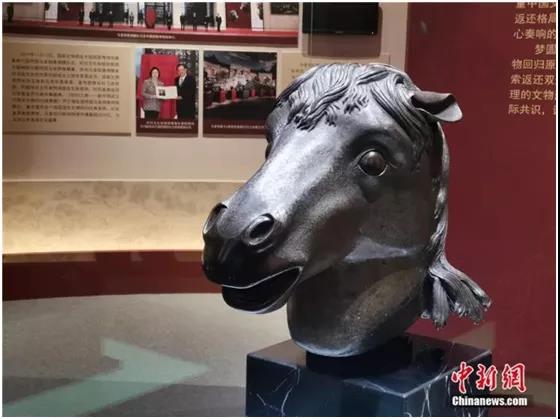 2021年香港馬資料大資料大全6深度解析，香港馬資料大解析，深度解讀香港賽馬資訊（2021年）