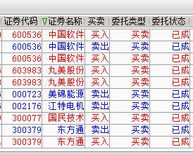 白小姐今特馬期期生肖的神秘面紗，白小姐揭秘生肖神秘面紗，今期生肖揭曉時(shí)刻