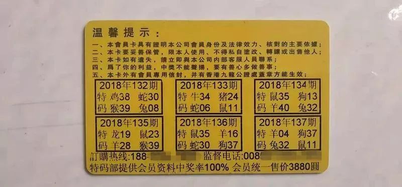 香港正版特馬資料，深度解析與探討，香港正版特馬資料的深度解析與探討