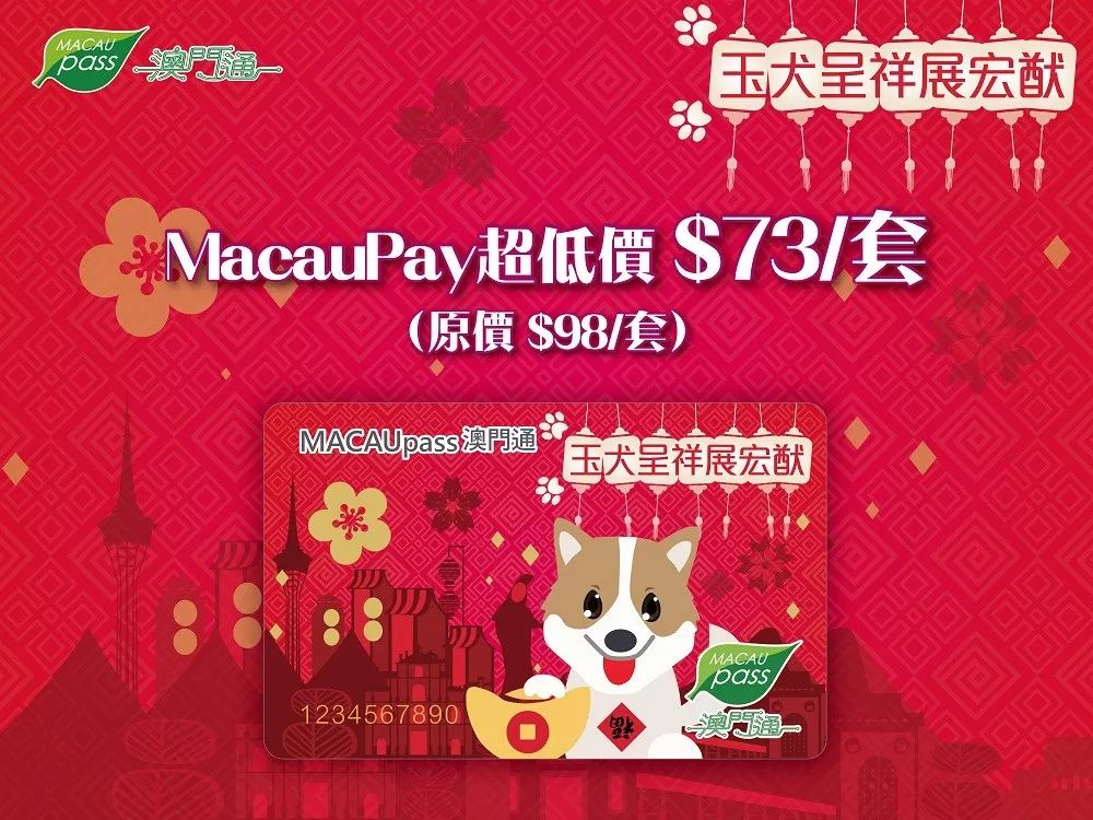 澳門正版資料大全資料生肖卡的奧秘與魅力，澳門正版資料大全，生肖卡的奧秘與魅力