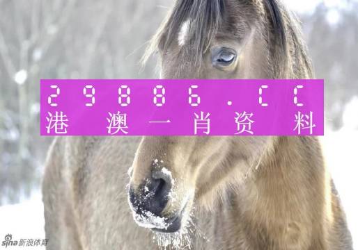 澳門一肖一碼百分百精準(zhǔn)預(yù)測(cè)—揭秘彩票背后的秘密，澳門彩票預(yù)測(cè)揭秘，一肖一碼百分百精準(zhǔn)預(yù)測(cè)背后的秘密