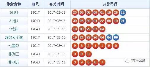 揭秘4933333背后的王中王一肖中特故事，揭秘王中王一肖中特背后的故事，數(shù)字4933333的神秘面紗
