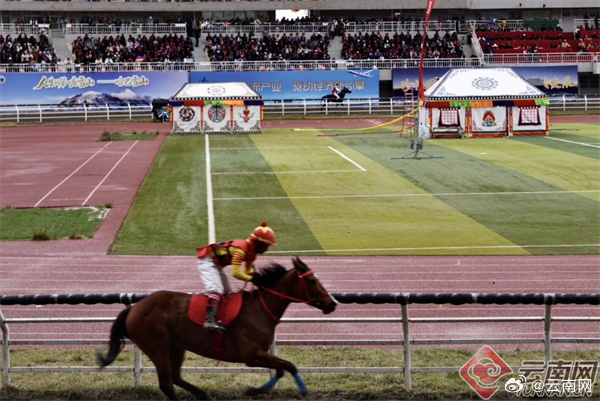 2025年今晚跑馬圖，2025年今晚跑馬圖預(yù)測(cè)與解析