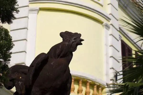澳門四不像的鳳凰資料，澳門四不像鳳凰資料解析