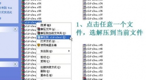 港澳寶典COM，探索港澳的必備指南，港澳寶典COM，港澳探索的必備指南