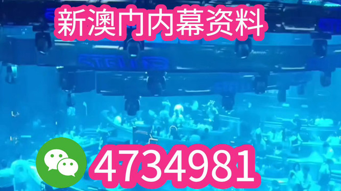 新澳門(mén)王中王期期中的奧秘與魅力，新澳門(mén)王中王期期奧秘與魅力揭秘