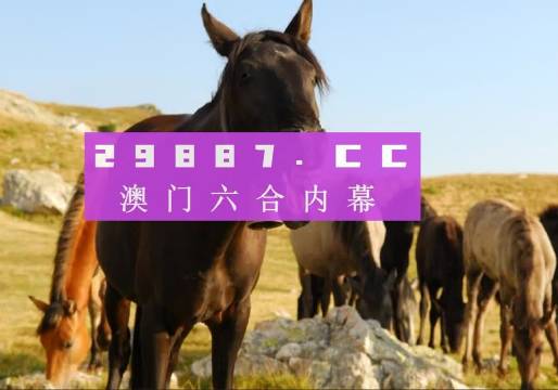 管家婆最準(zhǔn)一肖一碼澳門碼，管家婆精準(zhǔn)預(yù)測(cè)澳門一肖一碼