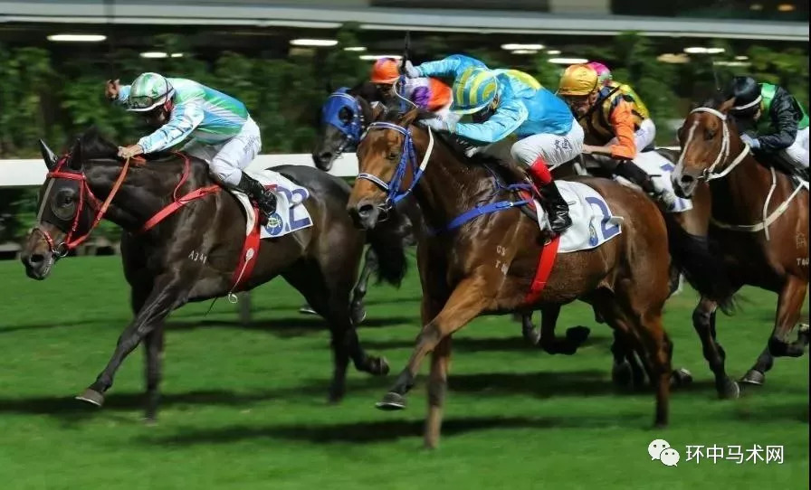 香港今晚出什么特馬，香港今晚特馬預(yù)測分析