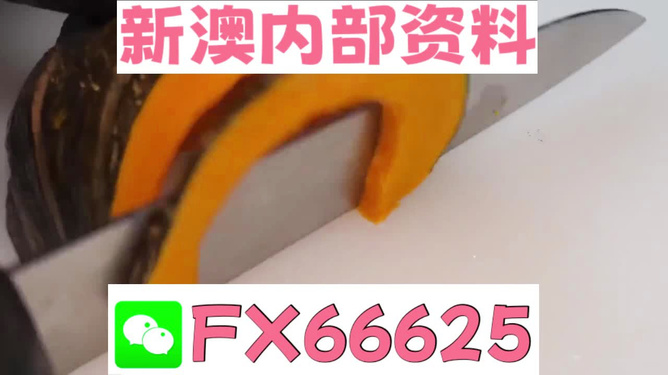 新澳門管家婆資料正版大全—探索最新最全的澳門資訊，澳門資訊大全，最新最全管家婆資料正版探索