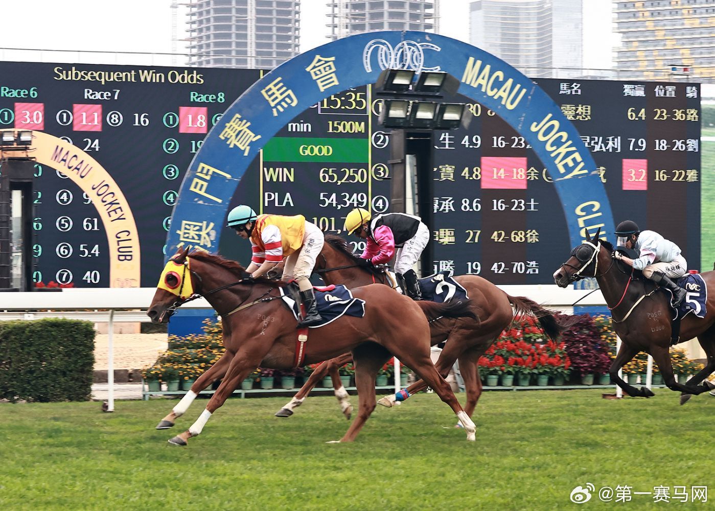 澳門今晚會開什么特馬，澳門今晚特馬開獎結(jié)果預(yù)測