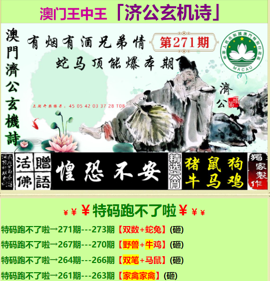王中王72396一肖中特特色的深度解讀，王中王72396一肖中特深度解讀報(bào)告